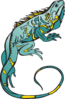 Blue And Yellow Chameleon Clip Art